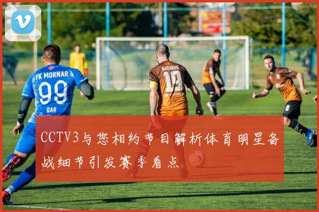 CCTV3与您相约节目解析体育明星备战细节引发赛季看点