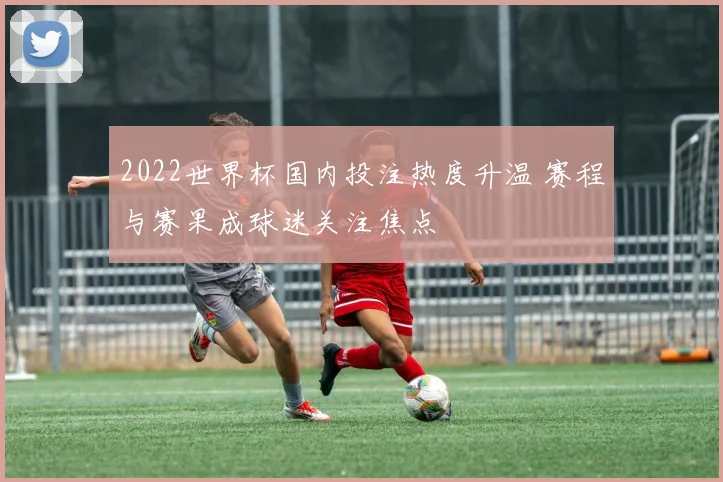 2022世界杯国内投注热度升温 赛程与赛果成球迷关注焦点