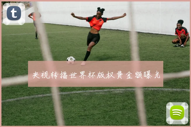 央视转播世界杯版权费金额曝光