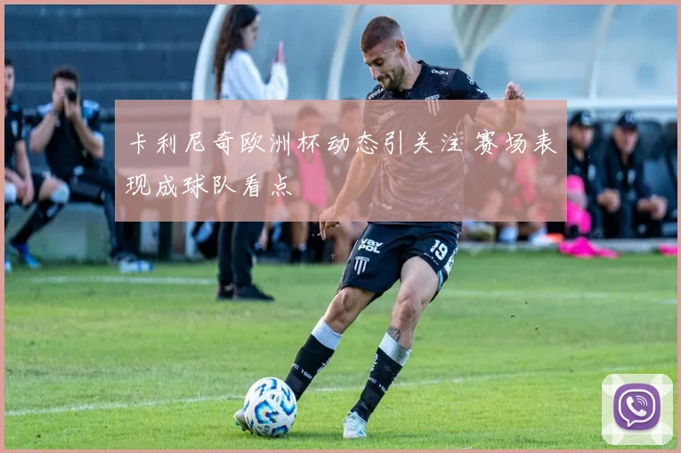 卡利尼奇欧洲杯动态引关注 赛场表现成球队看点