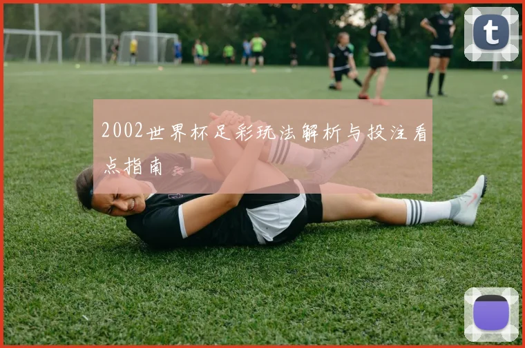 2002世界杯足彩玩法解析与投注看点指南